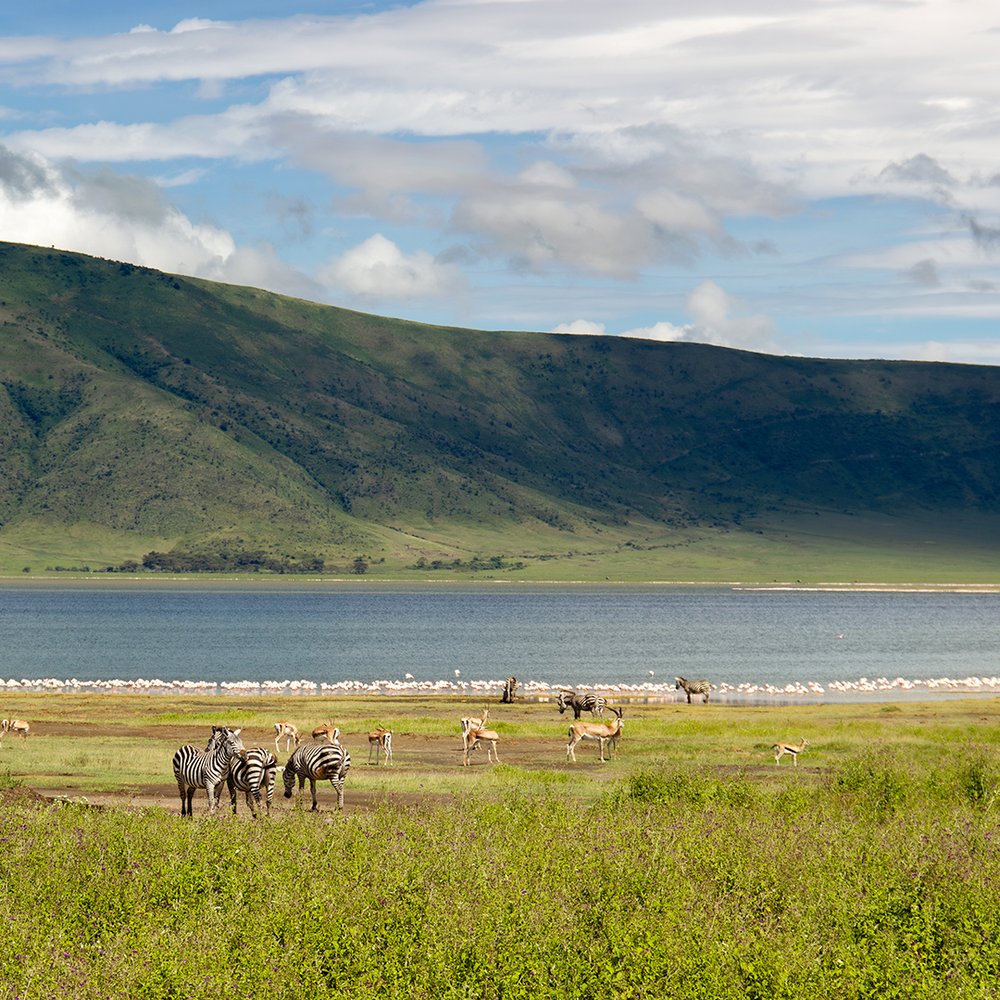 Ngorongoro-Hochland