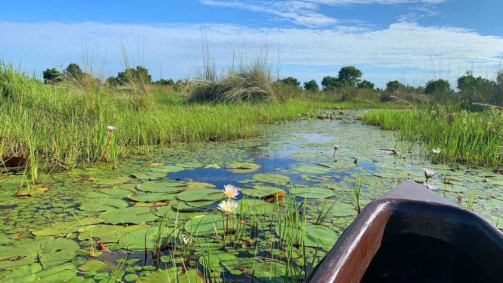 Safari mit dem Mokoro im Okavango Delta Botswana