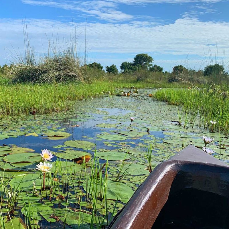 Mokoro fahrt durch das Okavango Delta