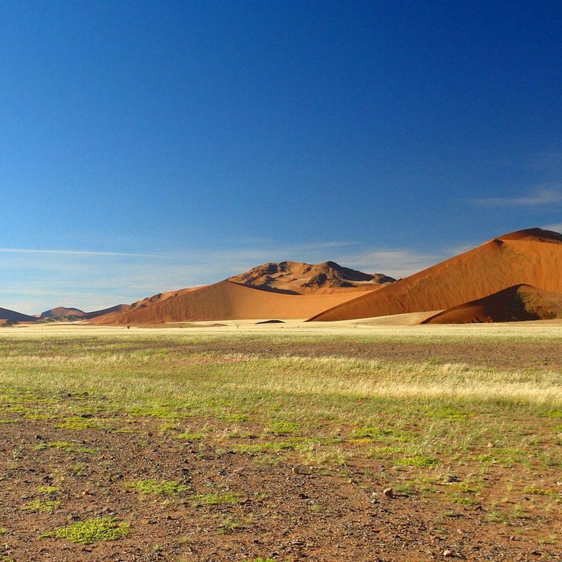 Namib Landschaft