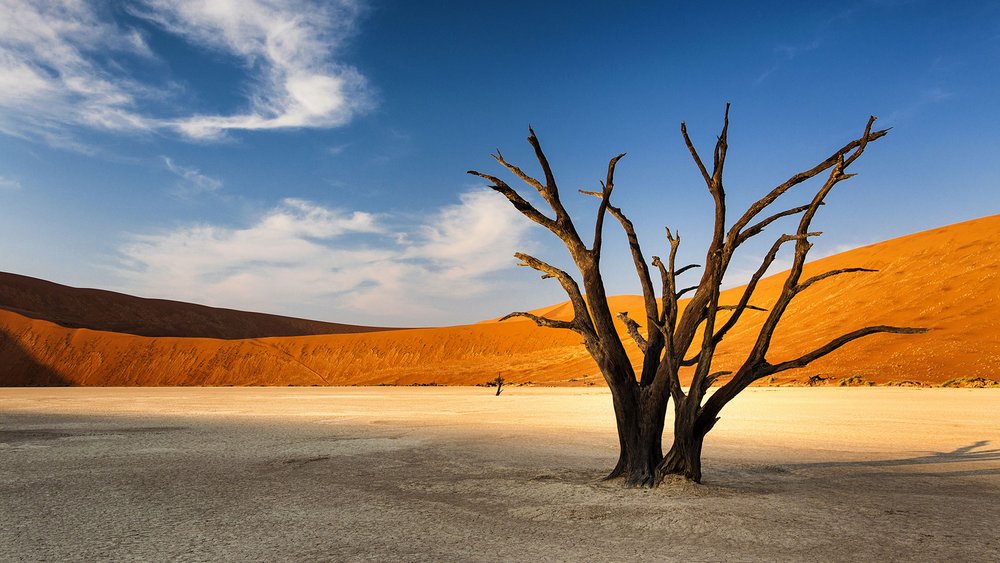 Die sagenhaften Wüstenlandschaften & das Sossusvlei