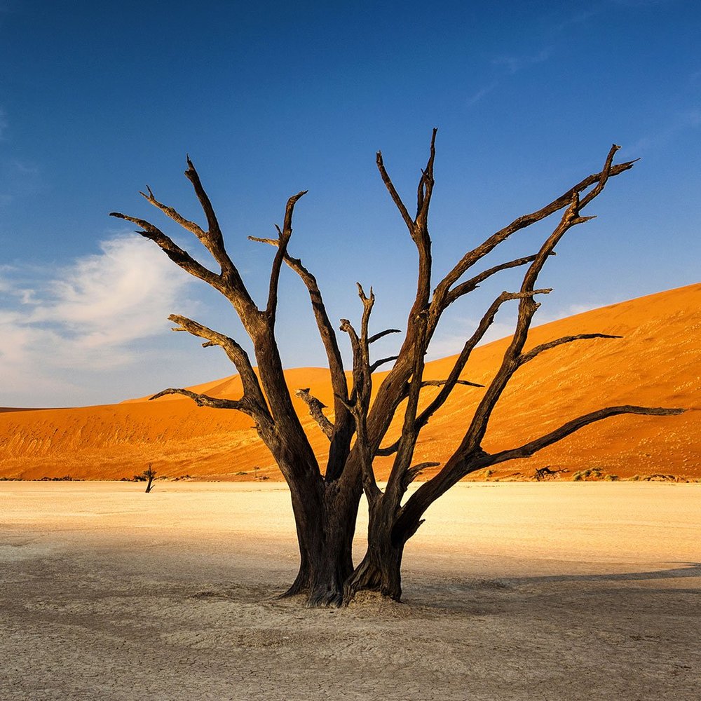Namib Wüste & Sossusvlei