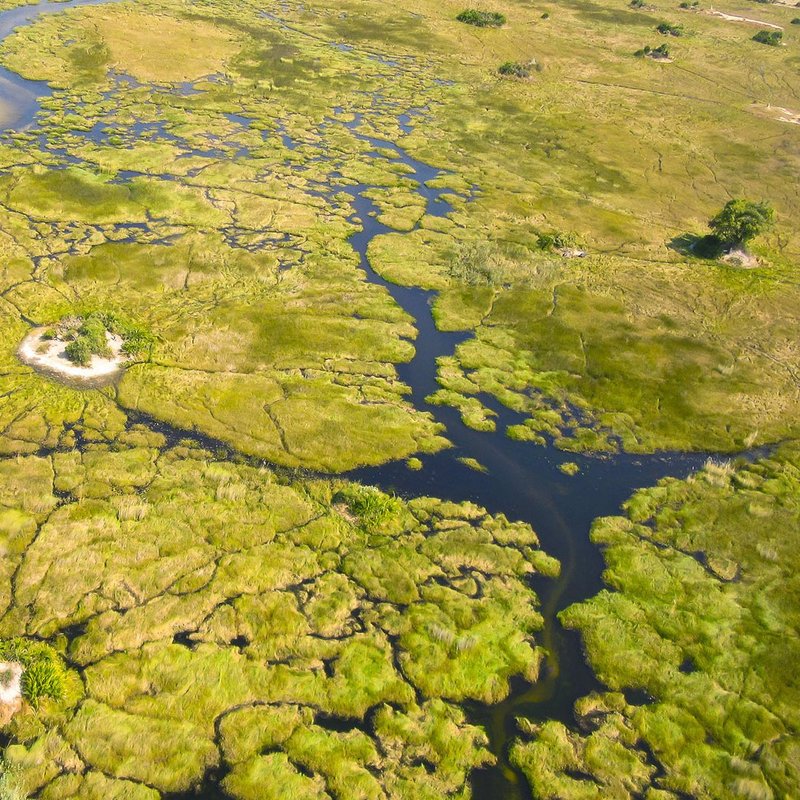 Okavango Delta aus der Luft
