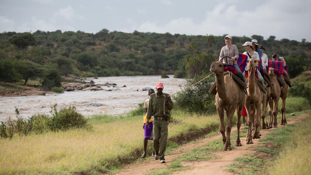 Safari im Loisaba Schutzgebiet