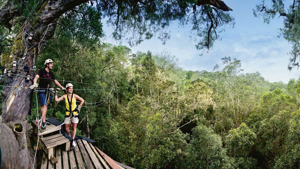Canopy Tour im Tsitsikamma National Park