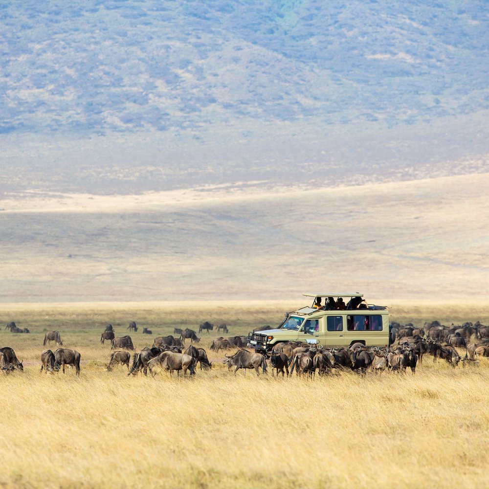 Singita Grumeti Reserve