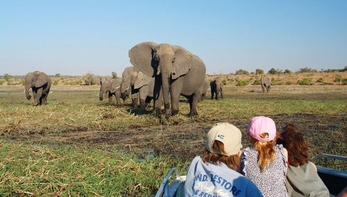 Exklusive Flugsafari für Familien durch Botswana