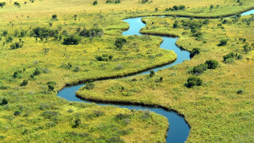 Fluss im Okavango Delta