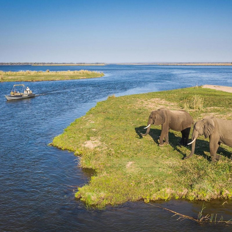 Elefanten im Lower Zambezi Nationalpark