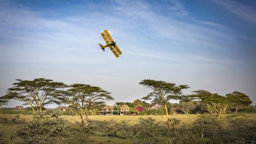 Angama Mara & Segera - Highlights Kenias exklusiv