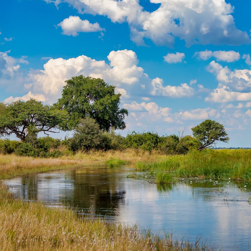 Landschaft bei Rundu