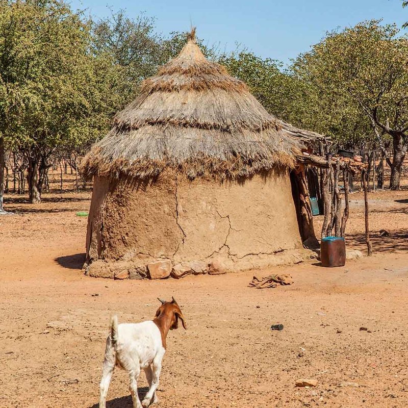 Himbadorf - eine Frau sitzt vor einer Hütte mit einer Ziege
