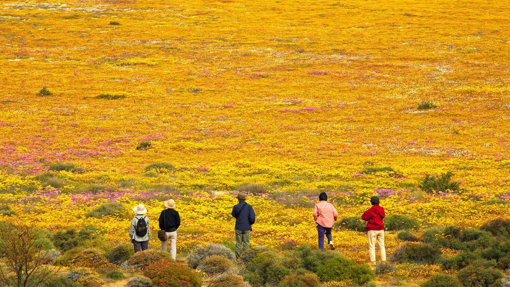 Landschaft der Karoo in der Halbwüste Namaqualand