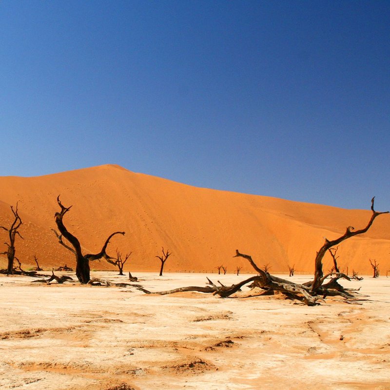 Deadvlei in der Namib