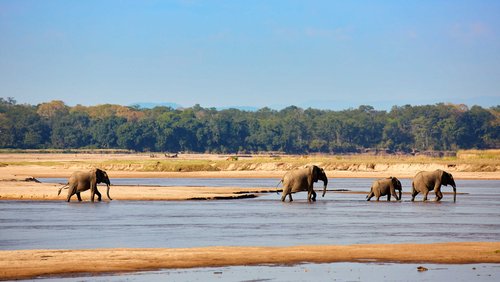 MAGIE AFRIKAS - Safari-Abenteuer Sambia