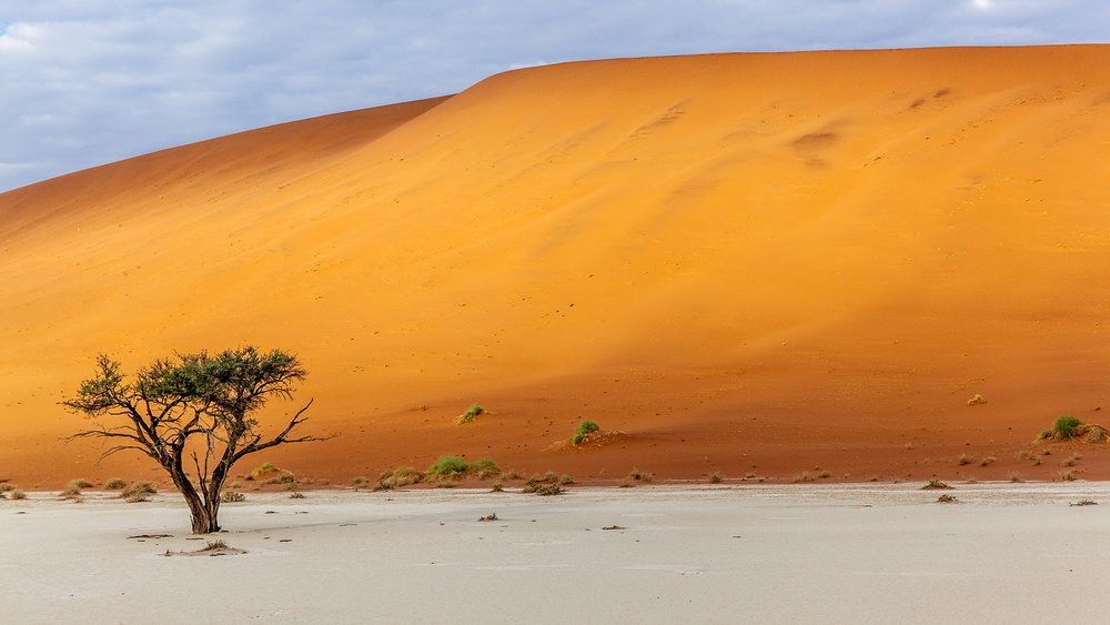 Sossusvlei Namib Wüste