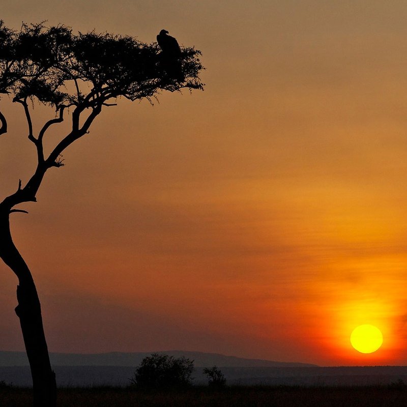Sundowner in Tansania