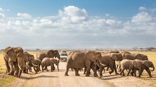 KENIA ODYSSEE – Von Nairobi bis Mombasa