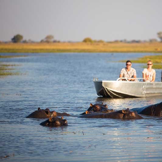 Drei Menschen im Ausflugsboot nähern sich einer Gruppe Flusspferde auf dem Kafue Fluss 