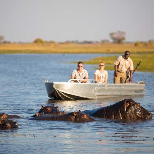 Drei Menschen im Ausflugsboot nähern sich einer Gruppe Flusspferde auf dem Kafue Fluss 