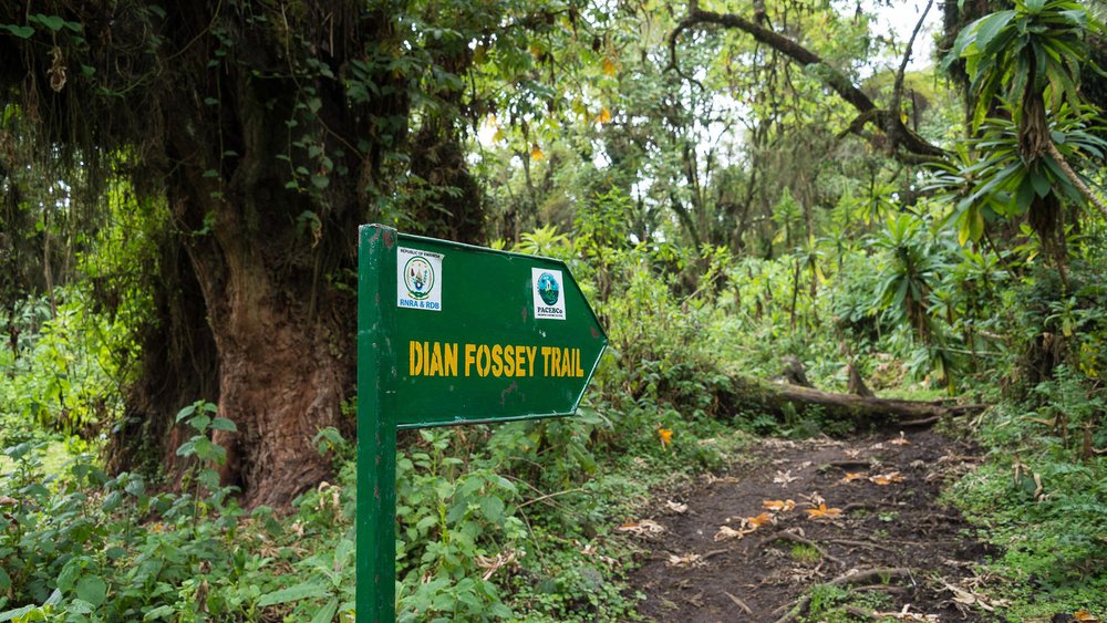 Schild zum Dian Fossey Trail im Volcanoes Nationalpark