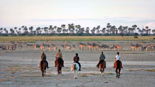 The Kalahari Ride