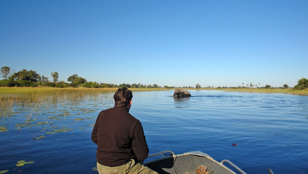 Elefant im Gewässer des Okavango Deltas