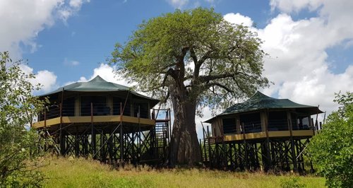 Tarangire Kuro Treetops Lodge