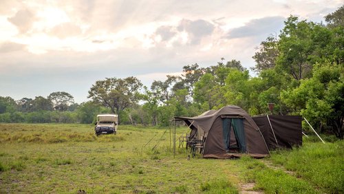 GIRAFFE - Botswana-Safari, Komfort-Camping