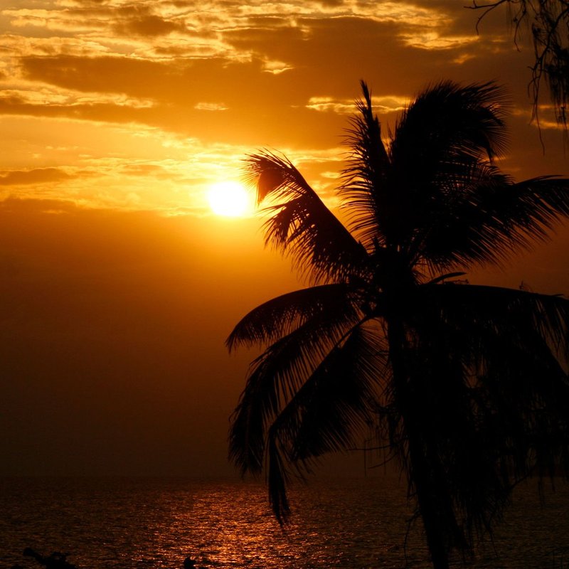 Sundowner auf Sansibar