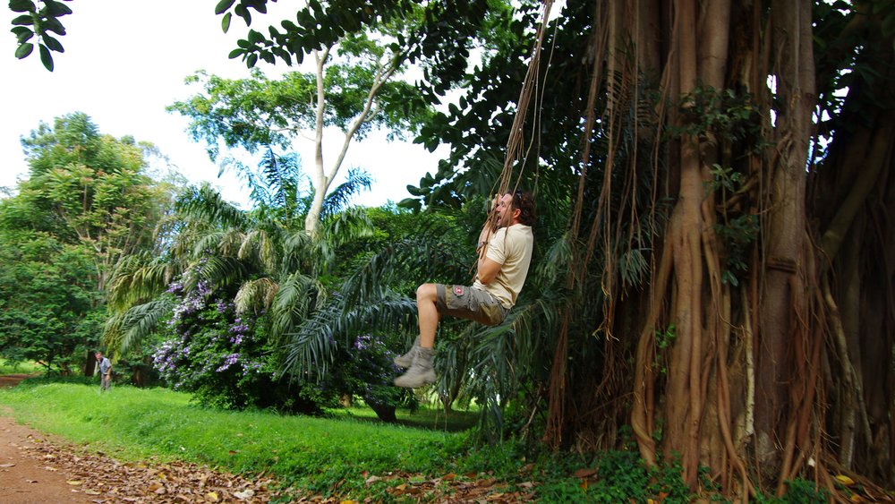 Botanischer Garten in Entebbe