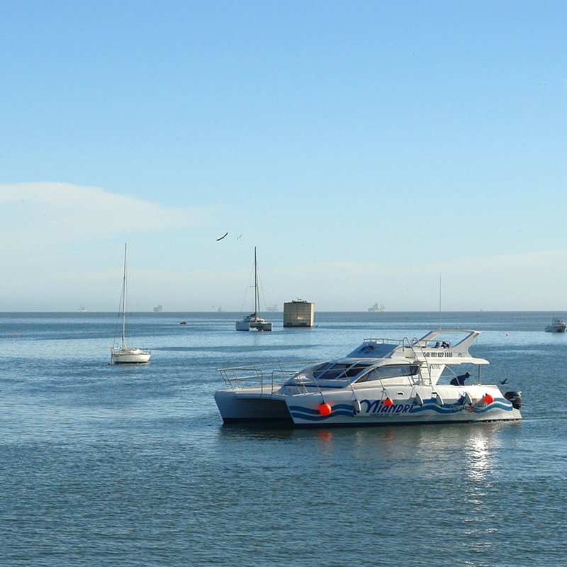 Katamarane und Boote ankern vor Walvis Bay