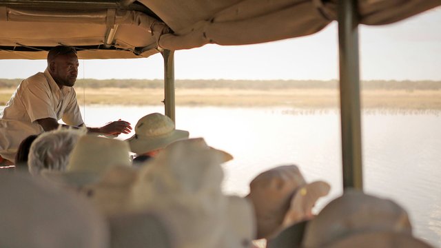 Safari in Namibia