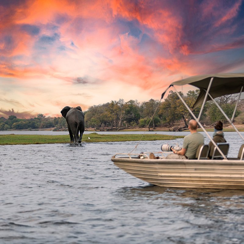 Bootsfahrt im Sonnenuntergang mit Elefant