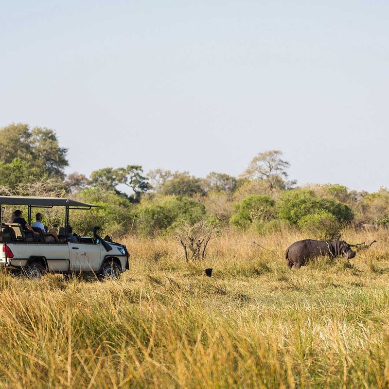 Safari durch Botswana