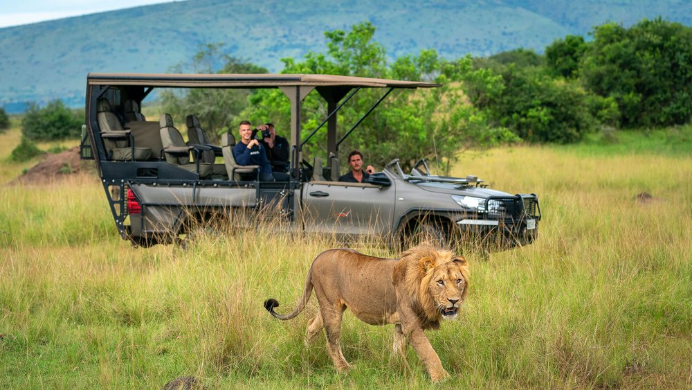 Drei Männer beobachten einen Löwen während einer Safari im Akagera Nationalpark