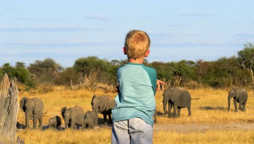 Familienurlaub im Chobe entspannt