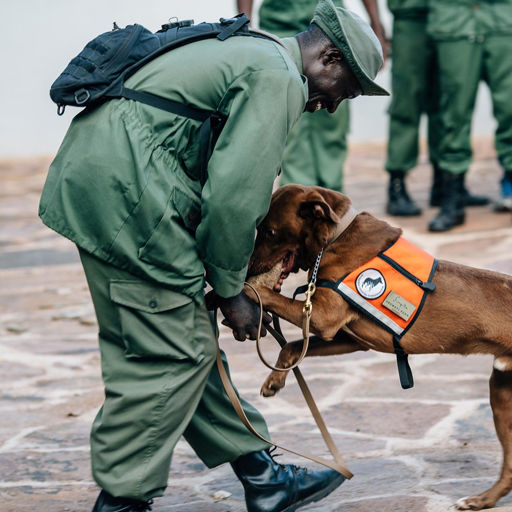 Anti-Wilderei-Hundestaffel