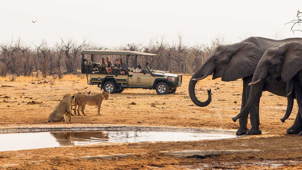Löwen und Elefanten auf der Pirschfahrt in der Savuti-Region
