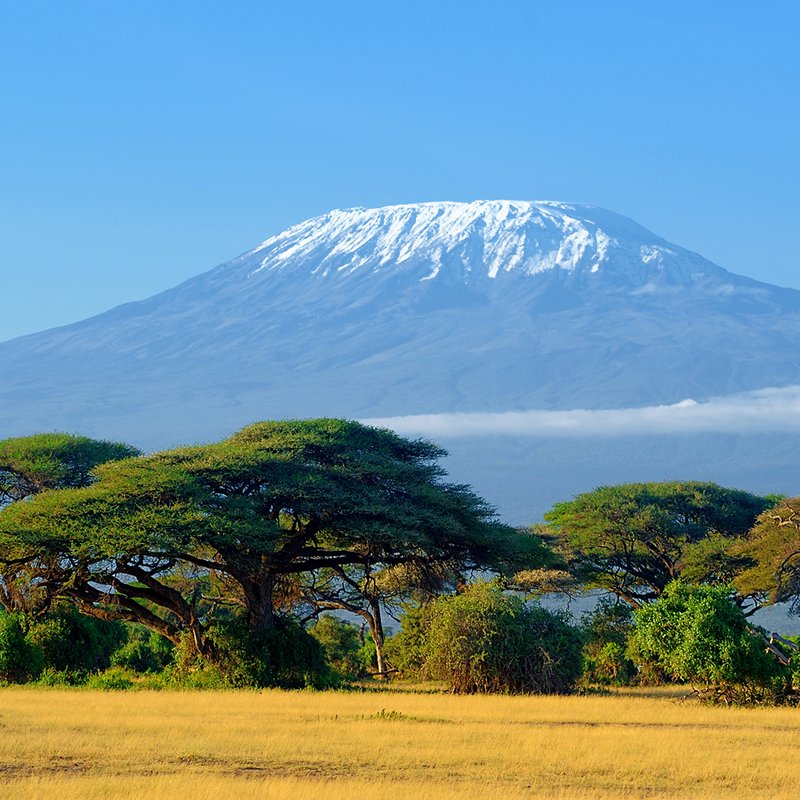 Blick auf den Kilimanjaro