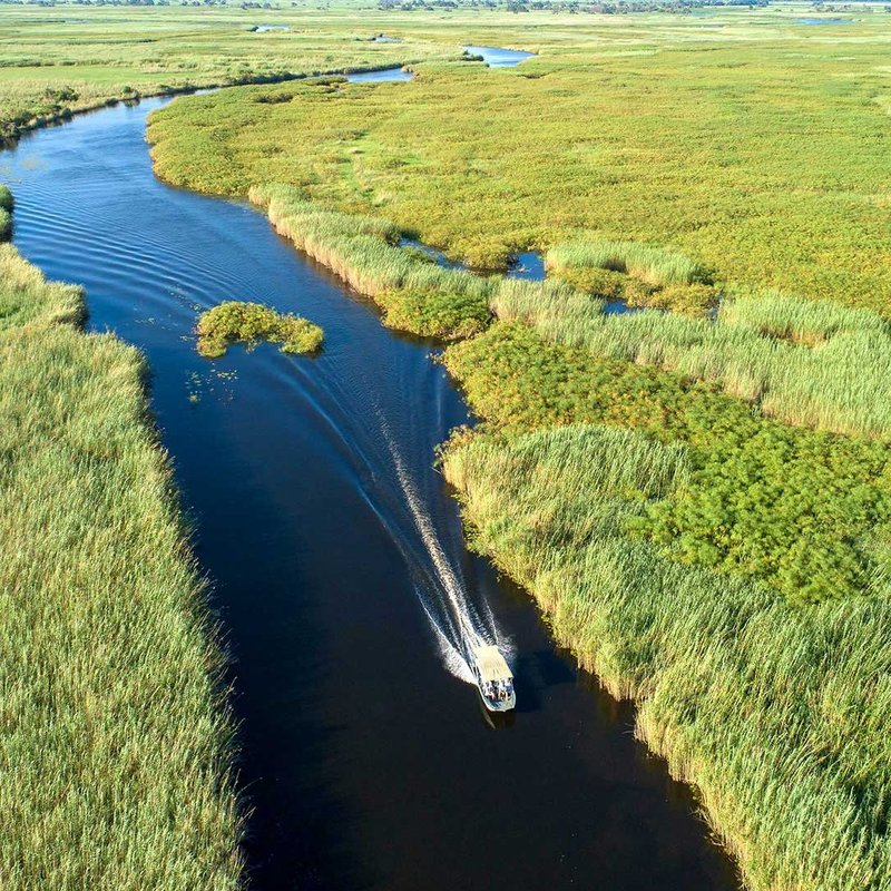Bootsfahrt Okavango Pfannenstiel
