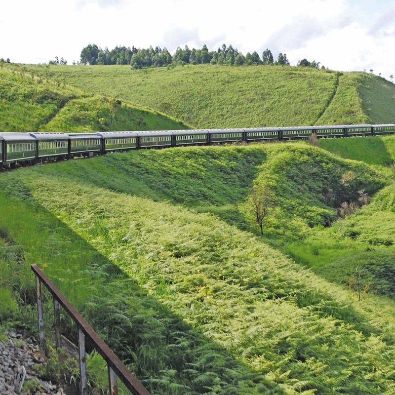 Reisen mit dem Rovos Rail