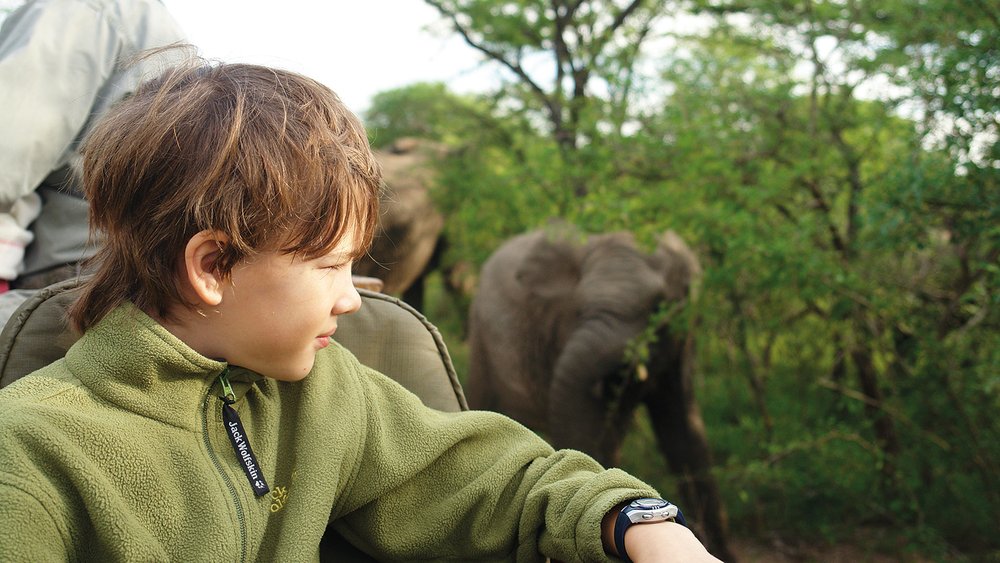Safaris im privaten Wildtiergebiet