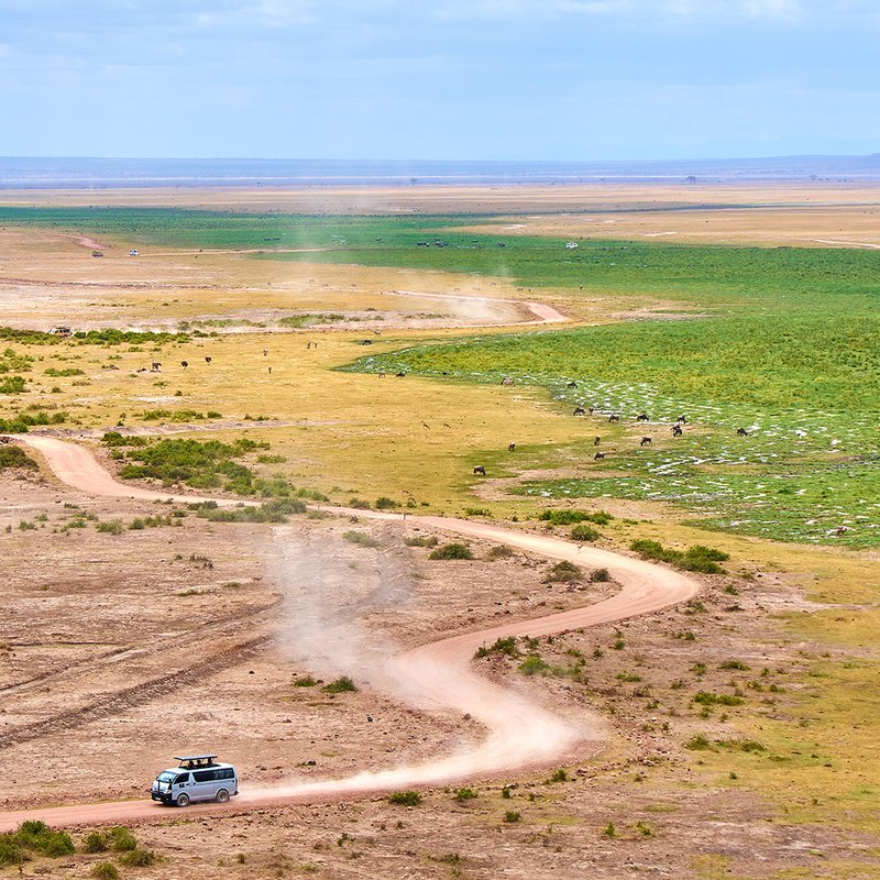 Blick über die Ebenen des Amboseli mit Piste