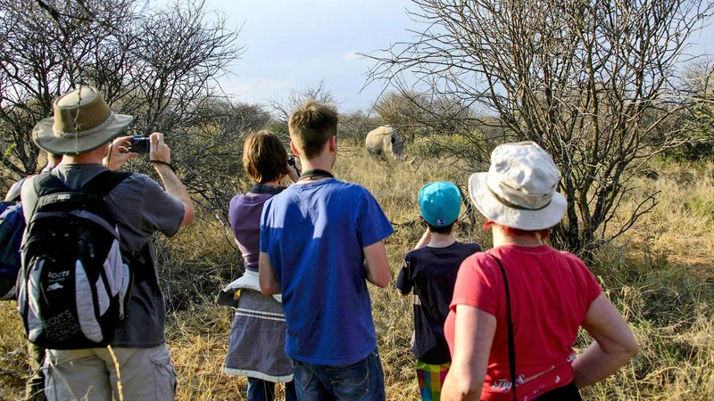 Eine Gruppe Menschen steht im Busch und beobachtet ein Nashorn während eines Rhinotrackings auf dem Waterberg