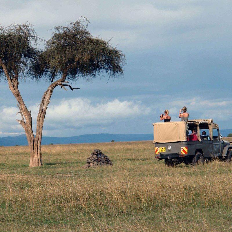 Safari durch Kenia