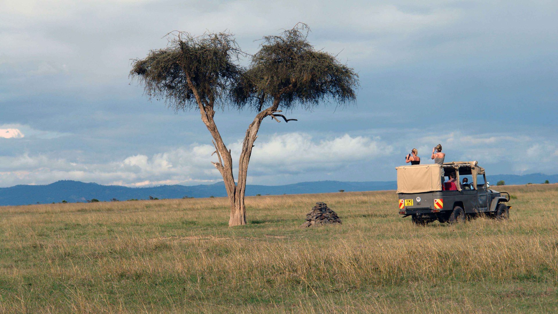 Privat geführte Safari durch Kenia