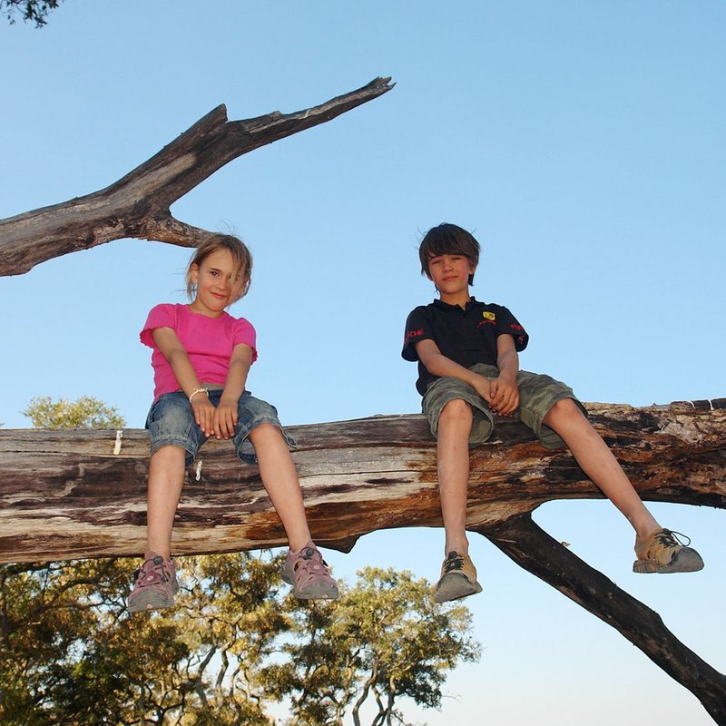 Kids auf Baum in Botswana