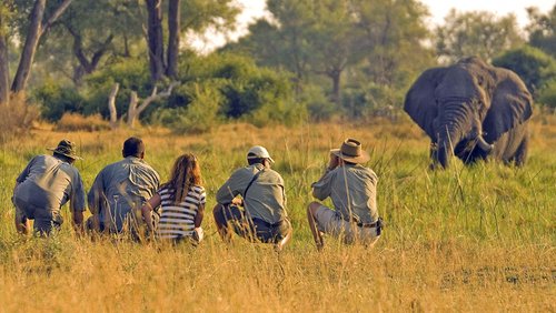 Flugsafari zu Botswanas Tierparadiesen