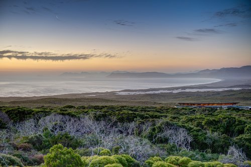 Grootbos Private Nature Reserve Forest Lodge